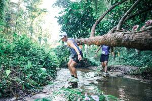 BIB: 
                            <button type="button" onclick="openModal(25431107)" class="btn btn-primary btn-sm float-right btn-popup" data-toggle="modal" data-target=".modal-high-quality">
                        <i class="fas fa-shopping-cart"></i> Add to Cart
                    </button>
                                            <button type="button" onclick="isThisMe(25431107, true)" class="btn btn-success btn-sm float-right btn-popup btn-isme hidden" data-toggle="tooltip" data-placement="bottom" title="นี่คือรูปของคุณใช่ไหม คลิกที่นี่เพื่อเอาเข้าอัลบั้ม">
                        <i class="fas fa-plus"></i> Add to album
                    </button>
                    <button type="button" onclick="isThisMe(25431107, false)" class="btn btn-warning btn-sm float-right btn-popup btn-isnotme hidden">
                        <i class="fas fa-ban"></i> Remove from album
                    </button>